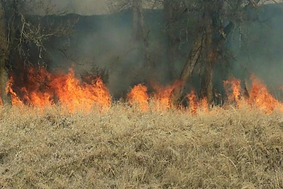 Local Counties Issue Burn Bans Due to a Dry Winter