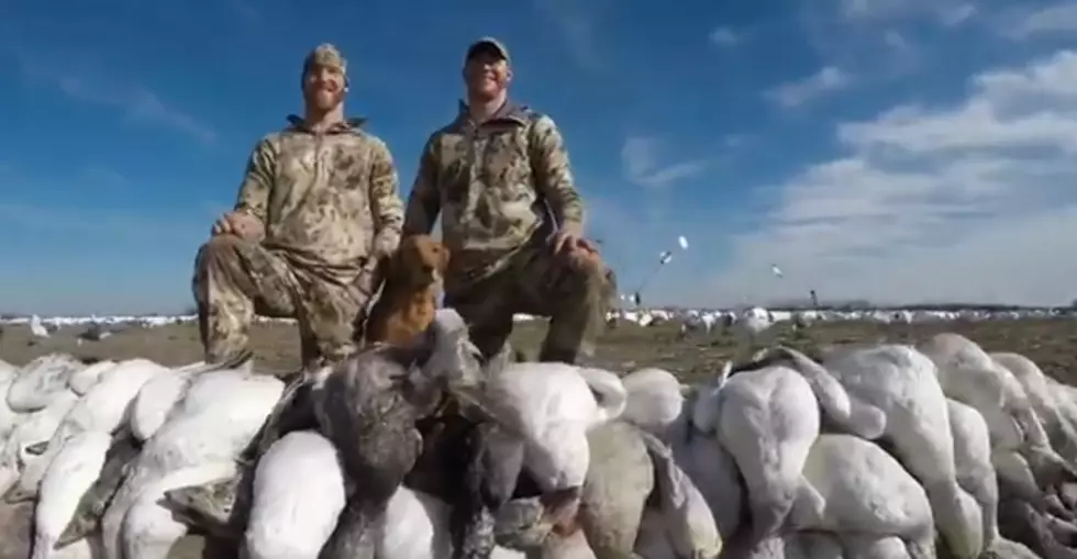 Carson Wentz Killed A Lot of Geese in Arkansas