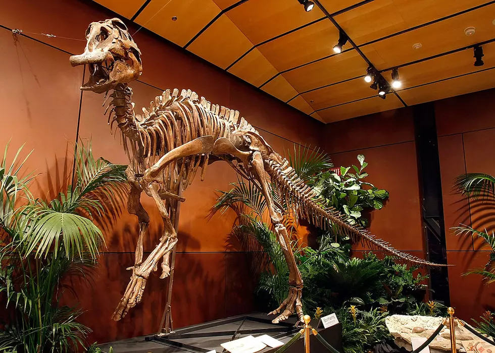 The Time Hugh Hefner Was Compared to a North Dakota Dinosaur