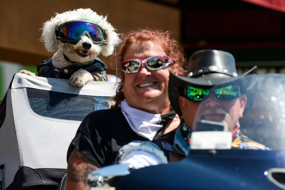 Sturgis: Drug Charges, Confiscated Cash, People Having Fun…2020 Week One.