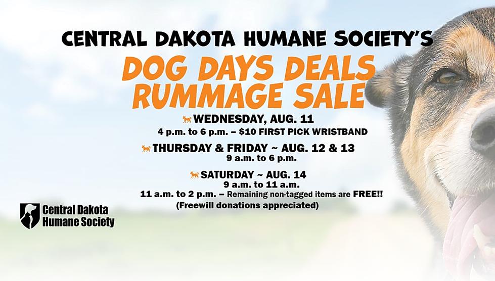 North Dakota’s Dog Day Deals Are Free On Day Three. (Plz Donate!)