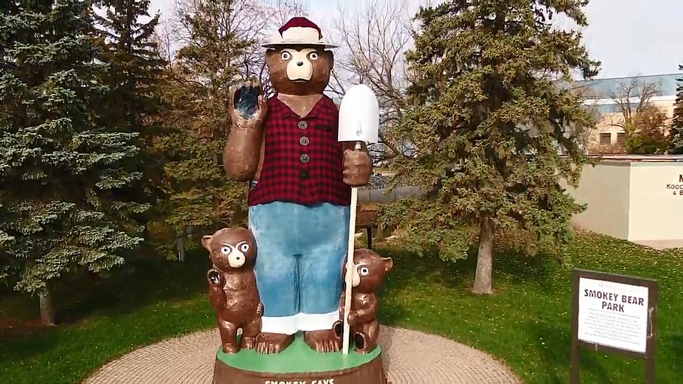 What Heartless Minnesota City Voted To Unclothe Smokey Bear?