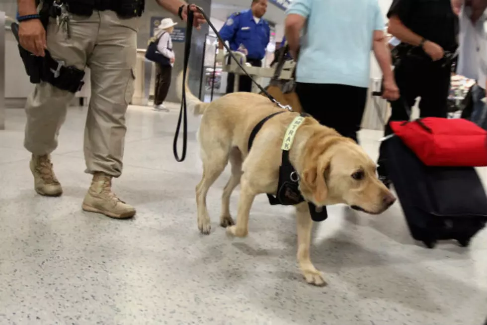 UND Adds Campus Police Dog