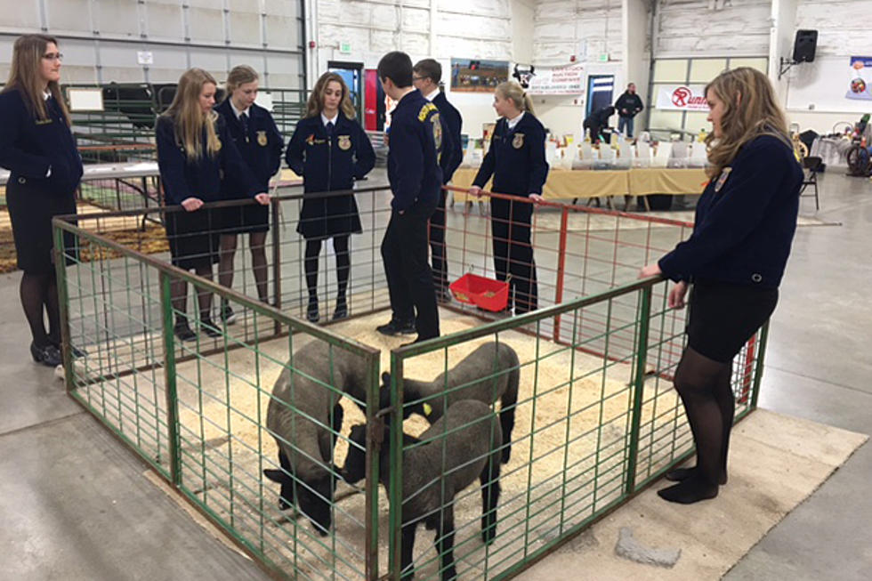 Fun and Learning at This Year&#8217;s Morton County Ag Day [PHOTOS]