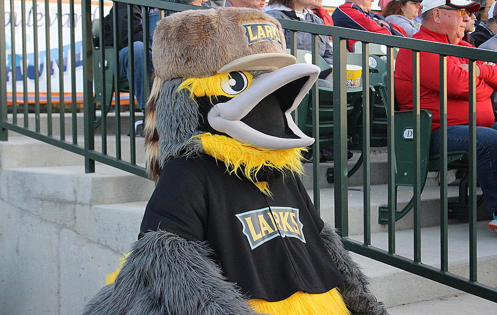 THE BISMARCK LARKS NEED YOUR HELP NAMING THEIR NEW MASCOT