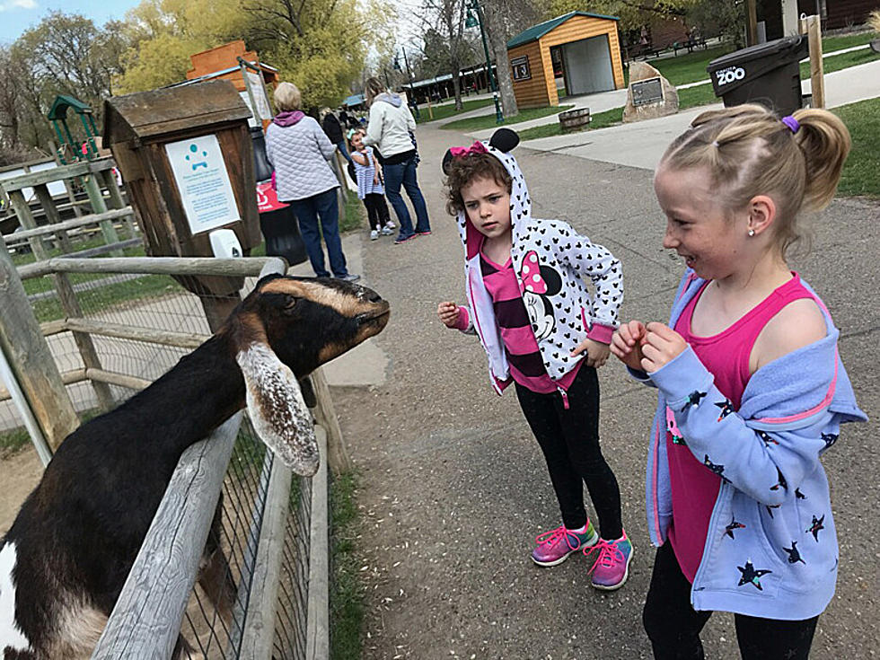 Dakota Zoo Has A Great Schedule of Events Coming up!