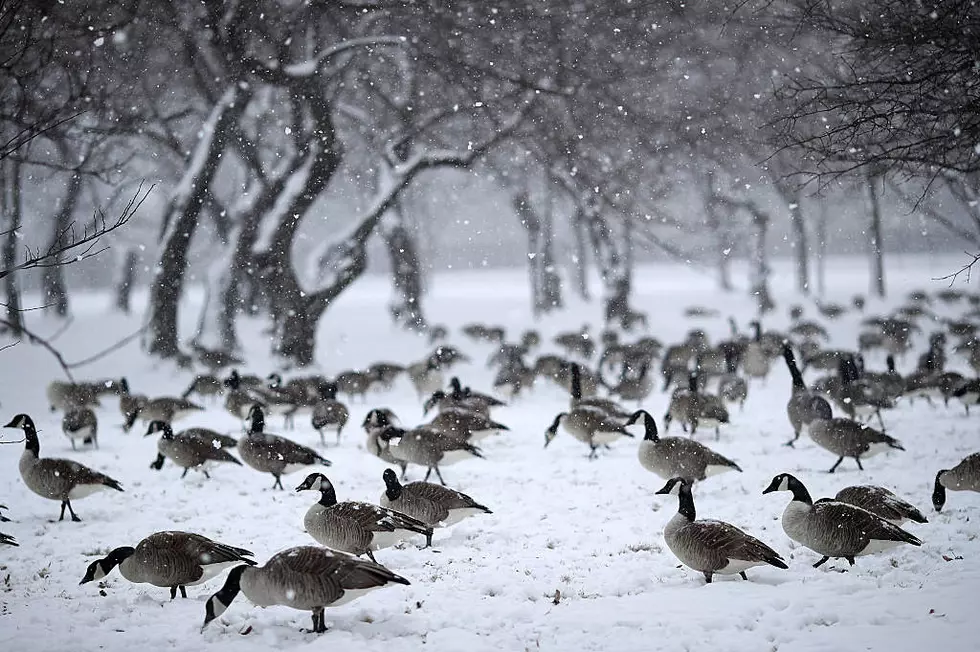 Winter Storm Watch Issued For Bismarck Area