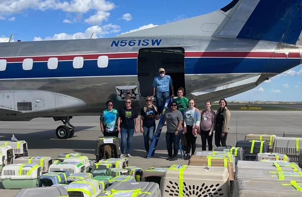 North Dakota Animal Rescue Assists In Hurricane Ida Evacuation Effort