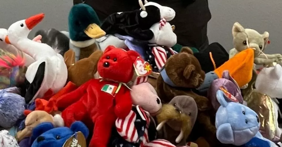 Morton County Sheriff's Office Receives Beanie Baby Donation
