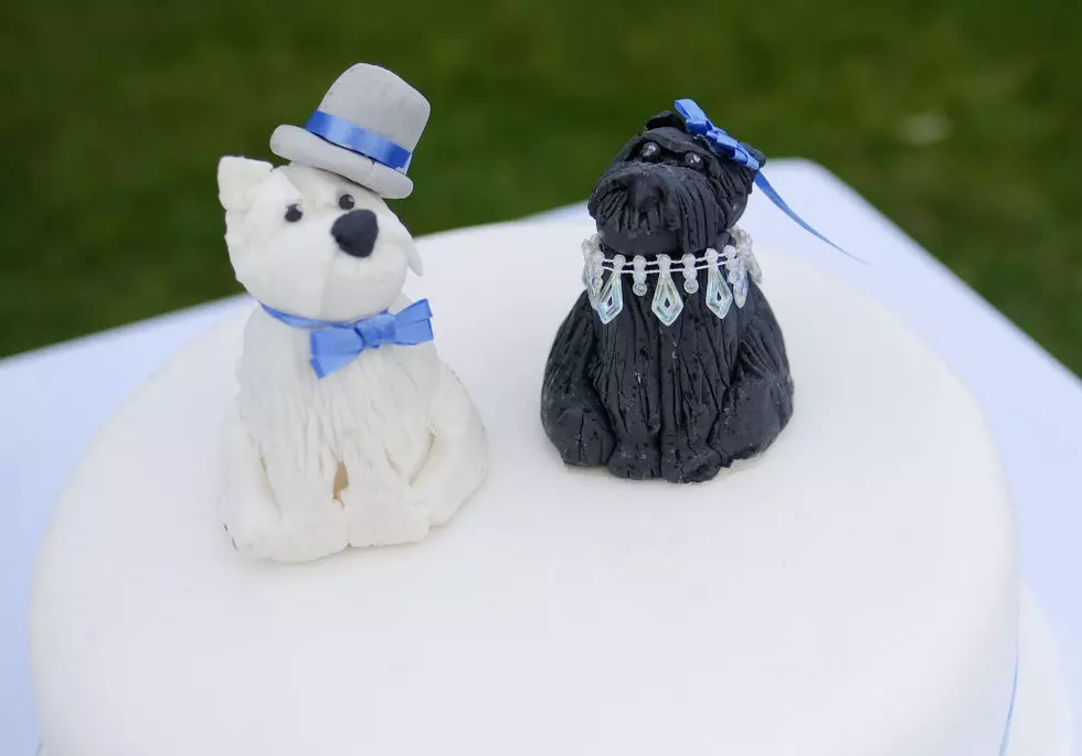 Can Your Dogs Get Married In North Dakota?