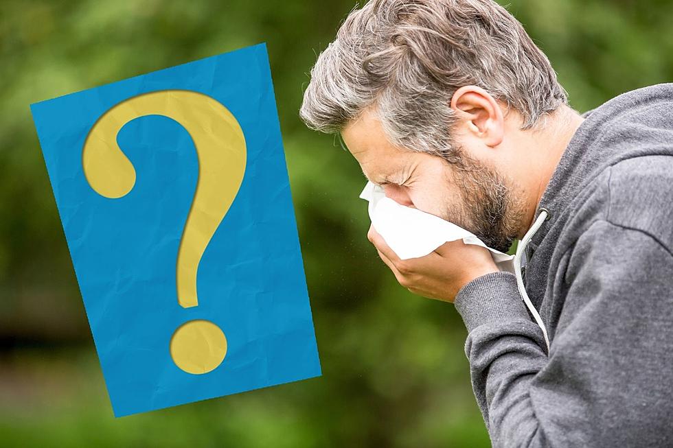 Achooo! Here Are The Top 3 Allergens In North Dakota This Spring