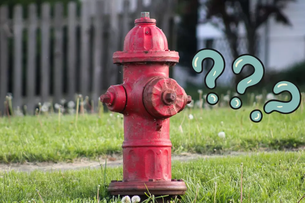 The Hidden Meaning Behind Fire Hydrant Colors In North Dakota