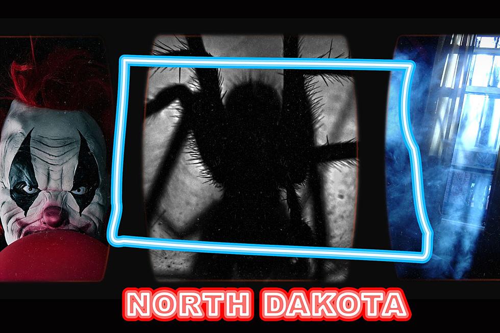 Here&#8217;s What North Dakotans Fear The MOST