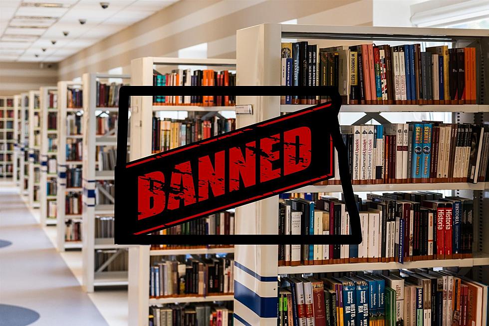 27 Banned Books In North Dakota