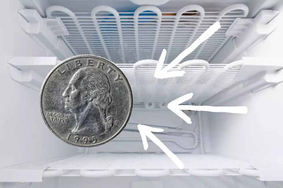 Why North Dakotans Should Keep A Quarter In Their Freezer