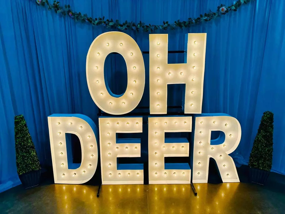 Deer Widows Vendor Show Returns For Its 10th Year In 2026