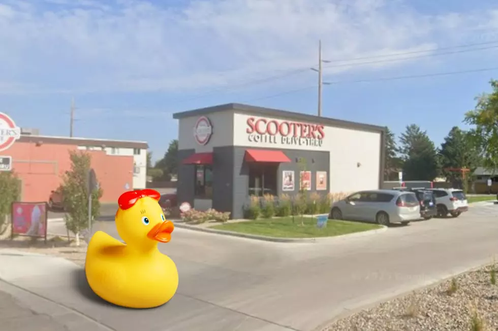 Bismarck: Scooter’s Coffee Has a Free Duck Giveaway July 15