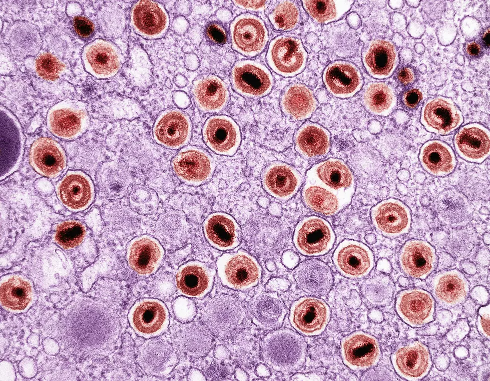 A dangerous, drug-resistant fungus has now been detected in North