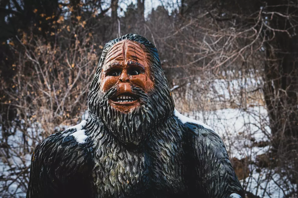 4 Bigfoot Sightings That Were Reported in North Dakota