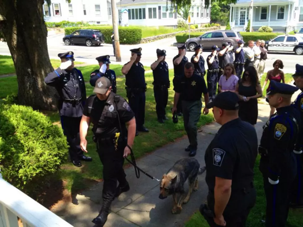 Watch a Touching Tribute of a Massachusetts Police Dog Laid to Rest [VIDEO]