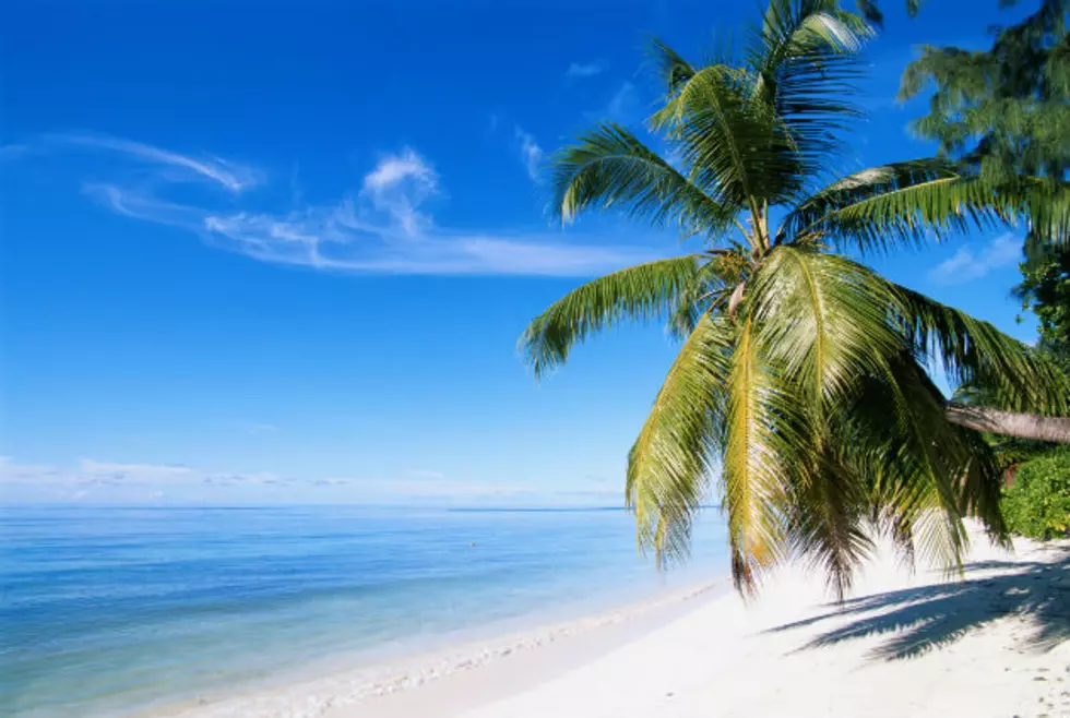 Escape The Cold At Minnesota&#8217;s Adults Only Tropical Beach Party