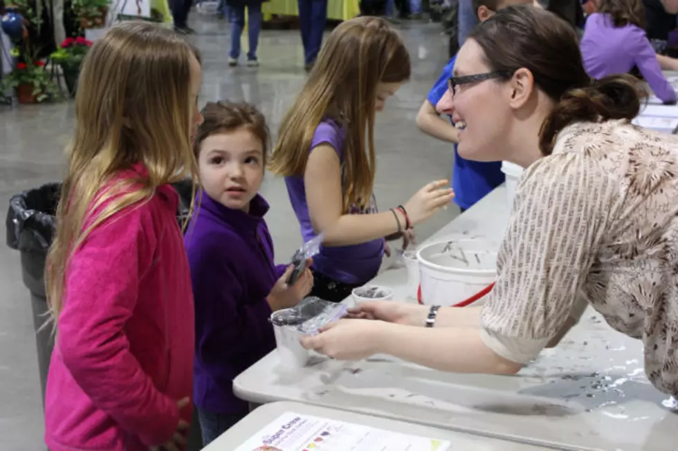 Kids Activities at the 2014 Dakota Garden Expo