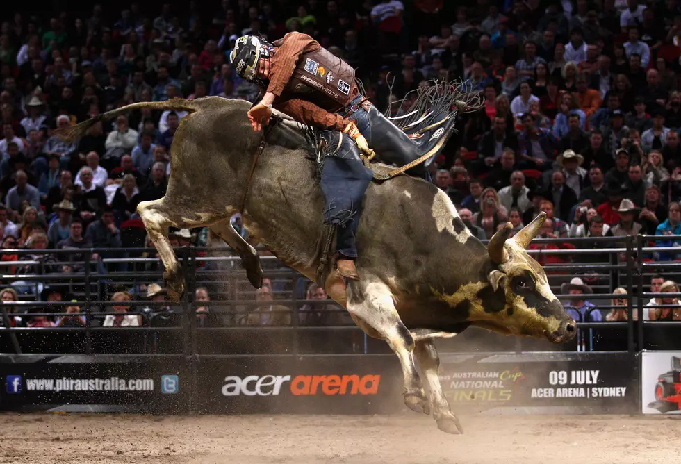 No Bull!  The Best Bull Riders In The World Coming To Bismarck!