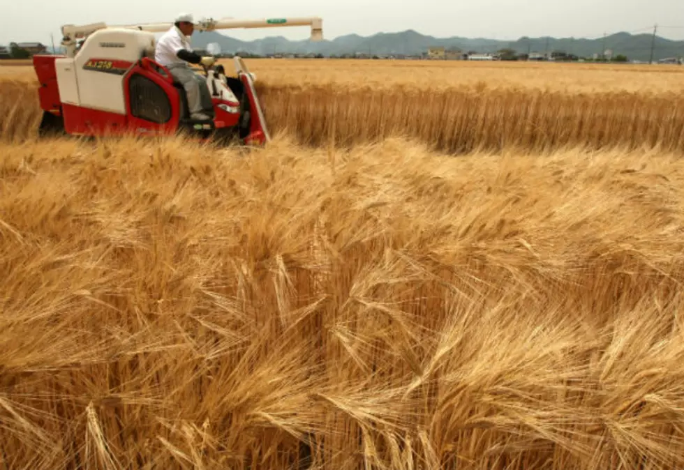 Rain and Snow in North Dakota Replenishes Soil Moisture