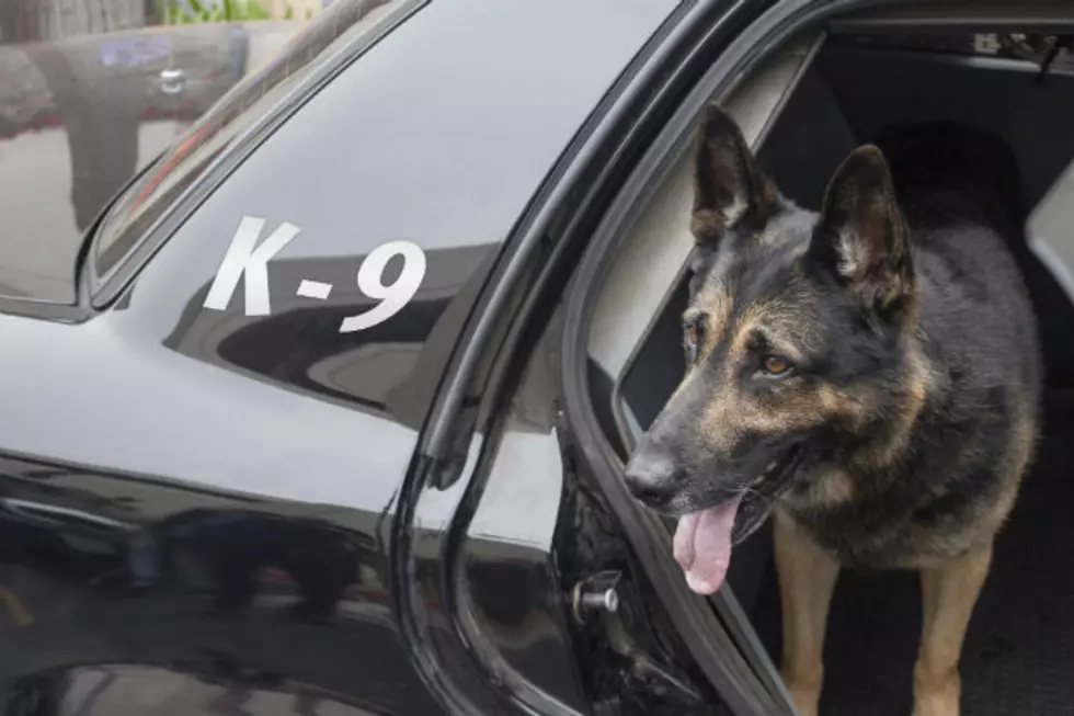 K9 Cop beater goes to court