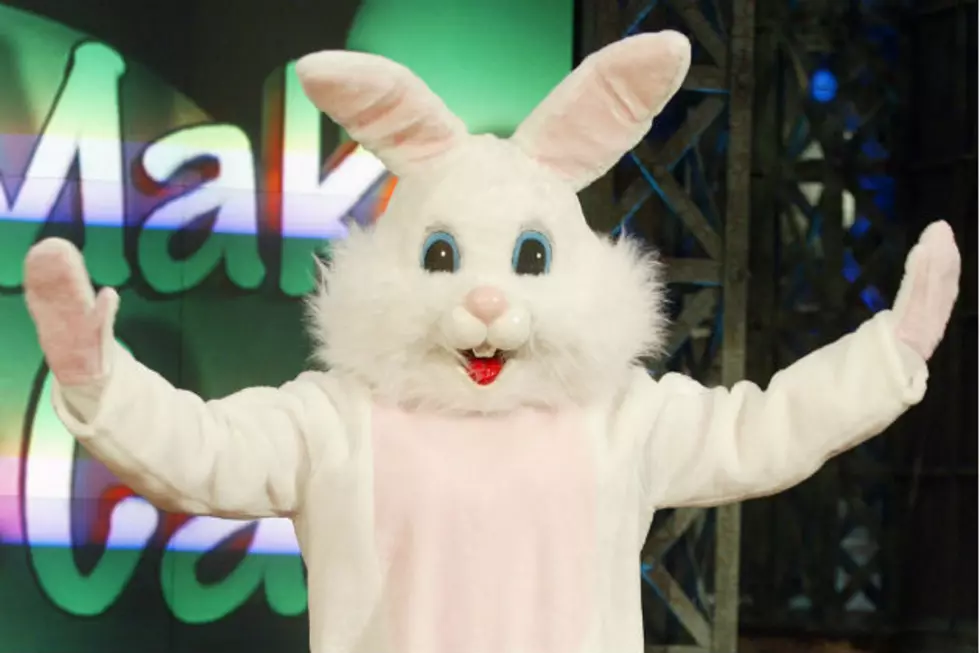Easter Bunny Brawls In New Jersey Mall