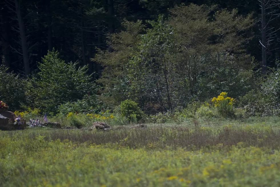 Body Found in Rural Area