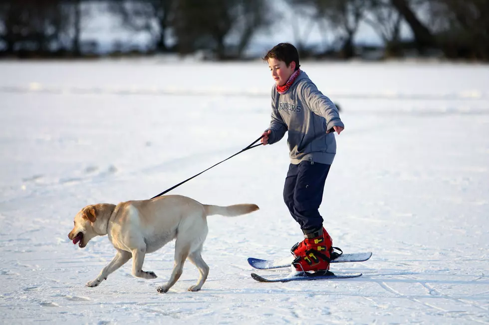 Cold Weather Tips for Your Pets