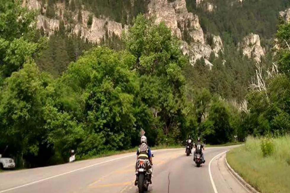 Sturgis Rally By the Numbers