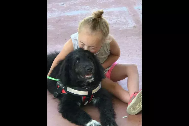Bismarck Girl Needs Your Help to Get Badly Needed Service Dog