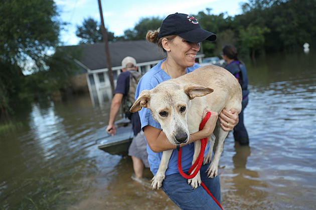 North  Dakota Man Going To Rescue Dogs From Hurricane