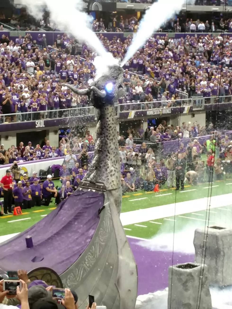 Was This Guy A Raiders Fan, I Think I Saw Him At The Vikings Game!
