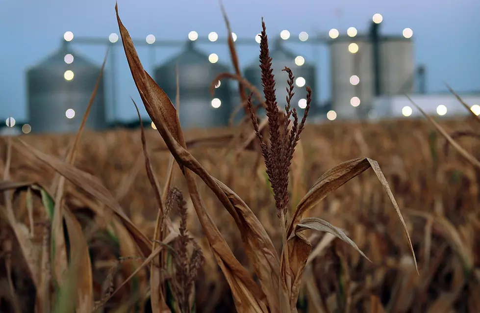 USDA Hoping To Turn Ethanol Industry Around