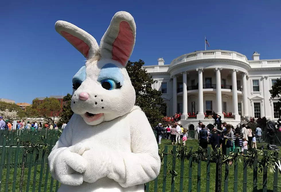 Bismarck Mayor Bakken Announces Easter Bunny Is Essential Employee