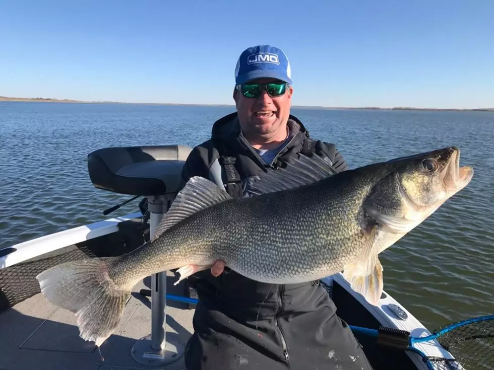 North Dakota State Walleye Record Broken! (PHOTOS)