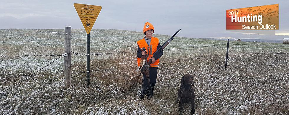 What Those Yellow Yield Signs Mean To Hunters