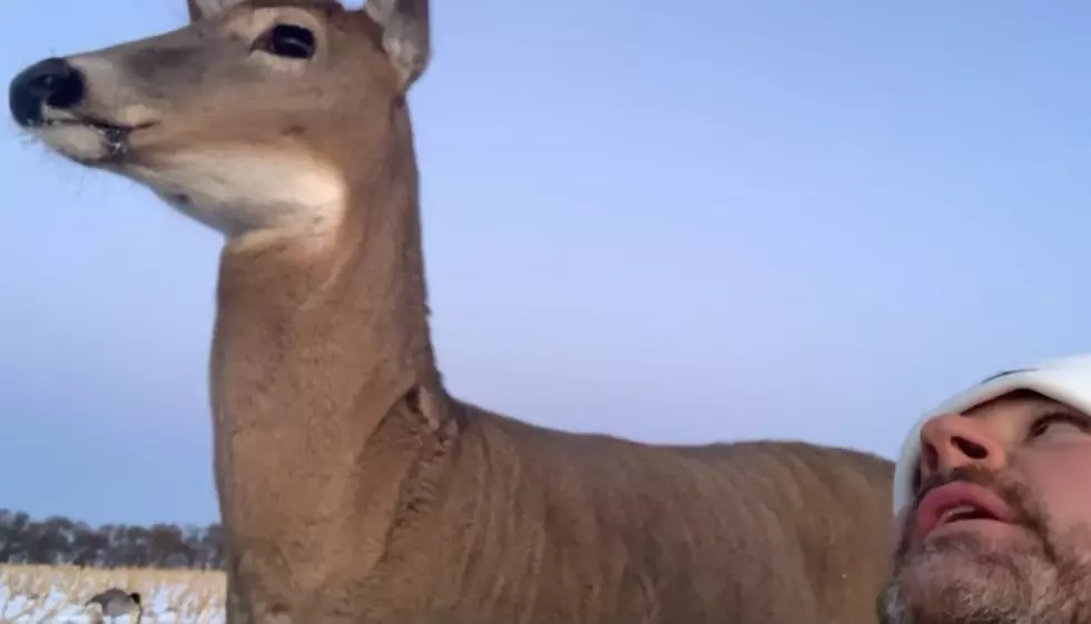 (WATCH) Going Viral: A NoDak Deer Adopts Duck Hunters From Kentucky!