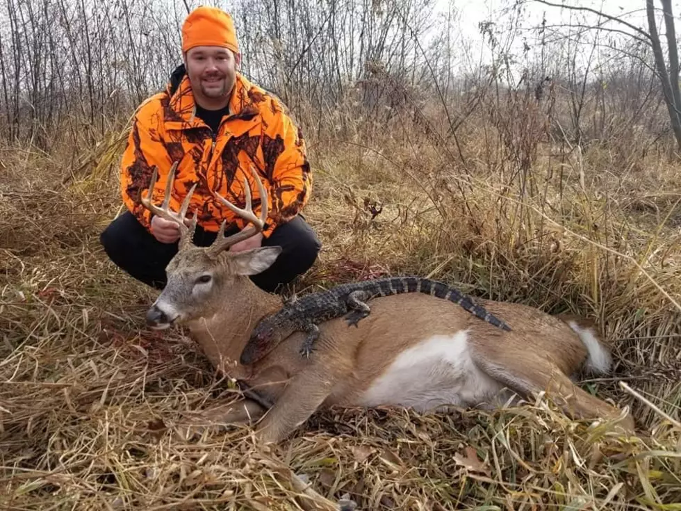SHOCKING:  Minnesota Hunter Shoots A Big Buck And A Gator!