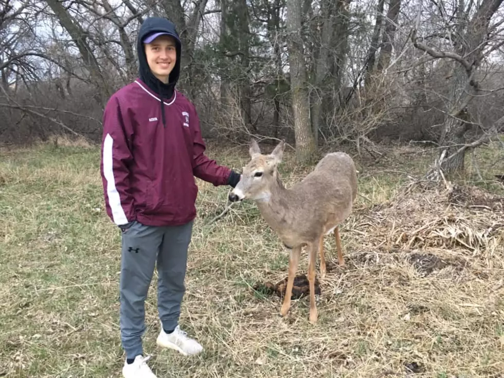 Remembering North Dakota’s Favorite Pet Deer Jonnie/Ruth