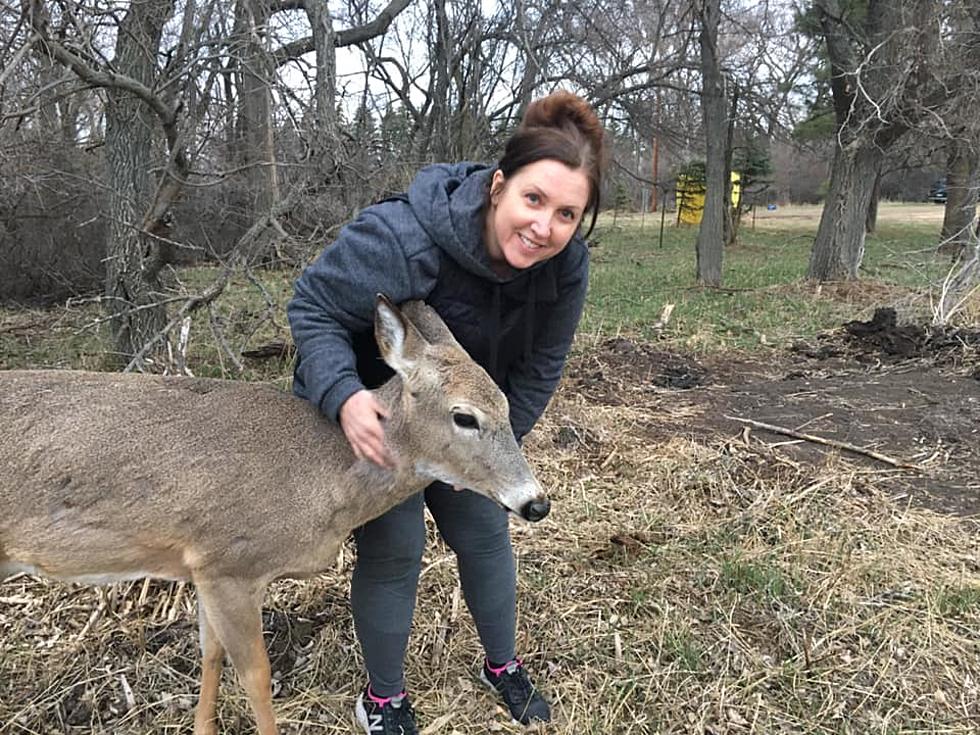 One Of The Good Ones!  Jonnie The Deer Is Alive & Well! (PHOTOS-V