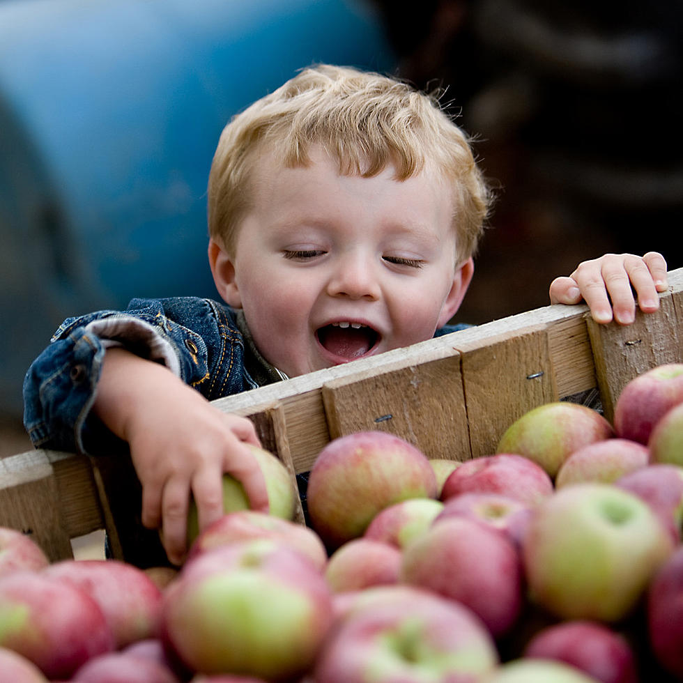 How Do You Like Them Apples?  3 Reasons To Be At Applefest