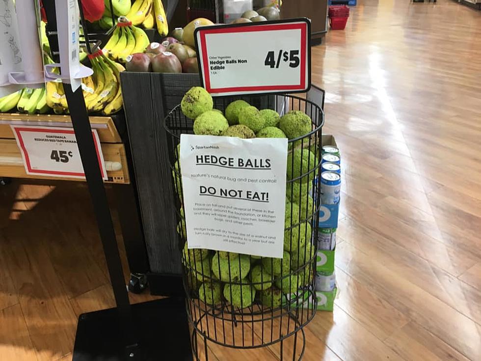 Bismarck Grocery Store Has Hedge Balls.  What Are They For?