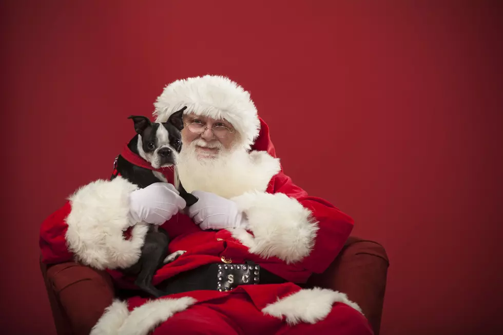 Horizontal composition isolated on red of the real santa holding a dog