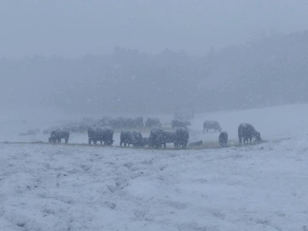 Spectacular Storm Photos From The Bismarck Mandan Area