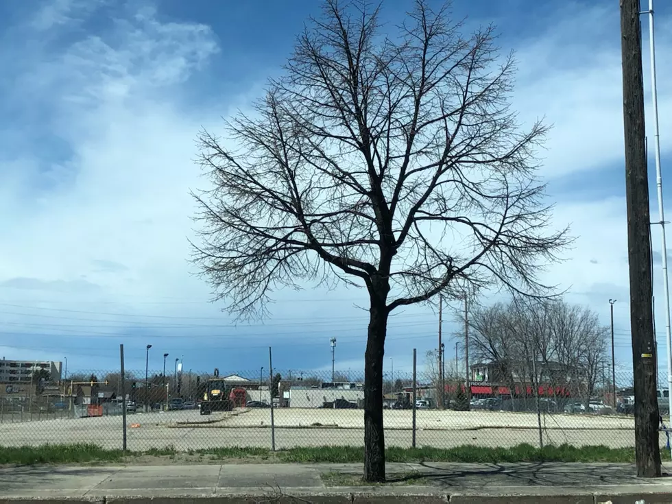 Should The Empty Lot By The BEC Be Used For Parking? 