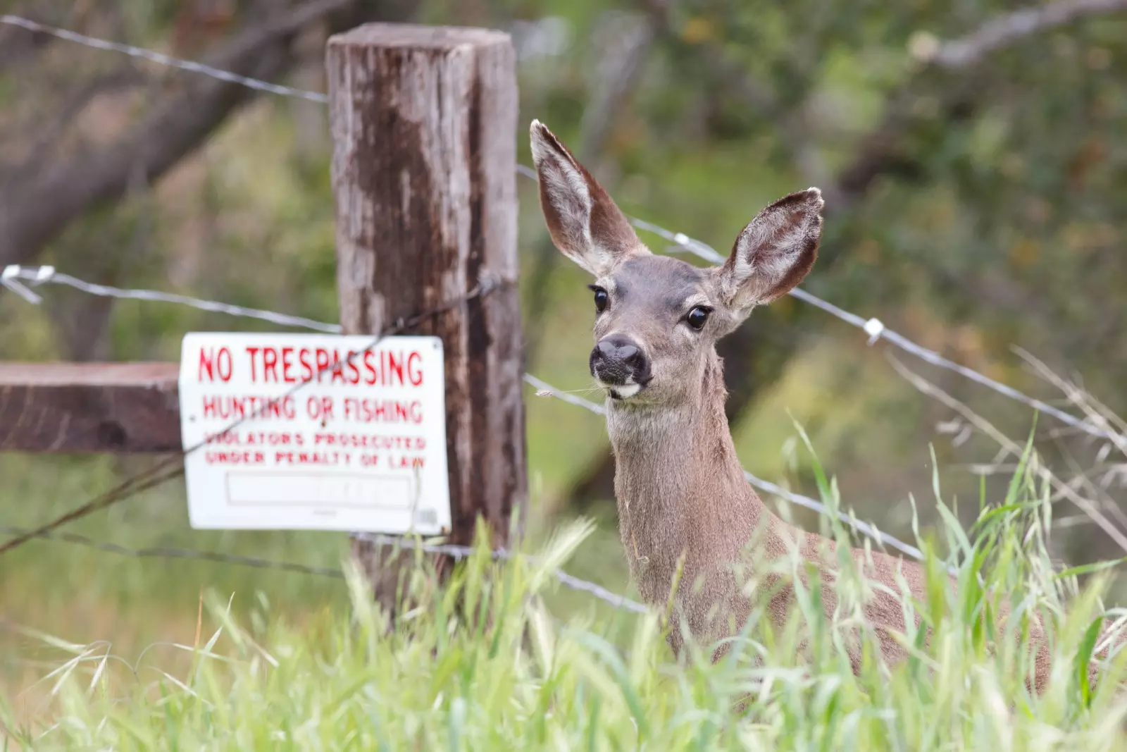 ND Posting & Trespass Laws You Need To Know This Season!